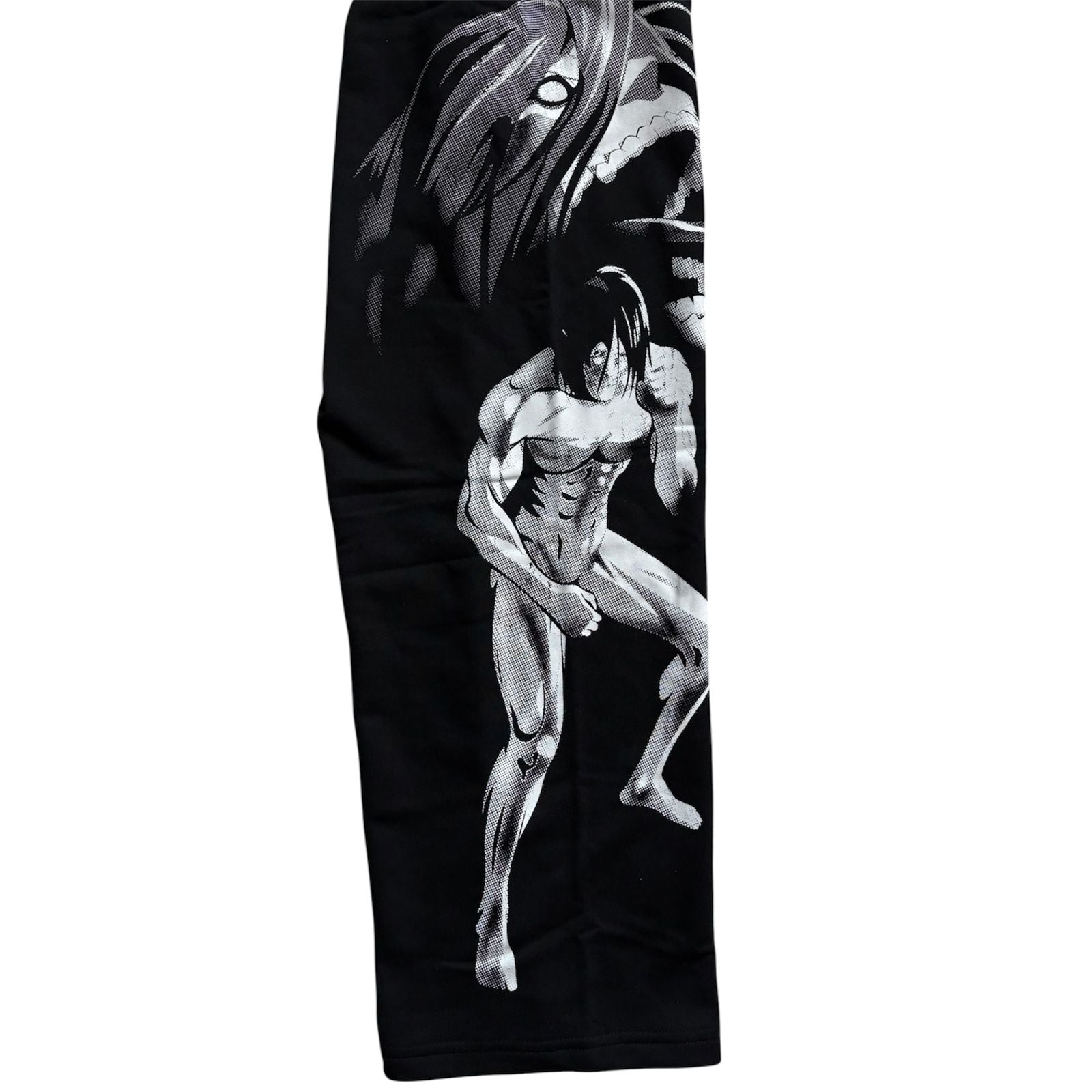 YoungLA X Attack On Titan Baggy Jogger