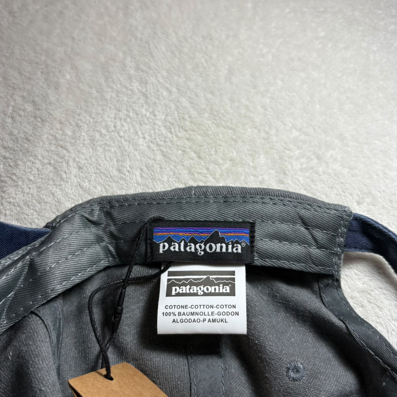 Patagonia P-6 Label Trad Cap
